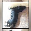 How I Sleeps