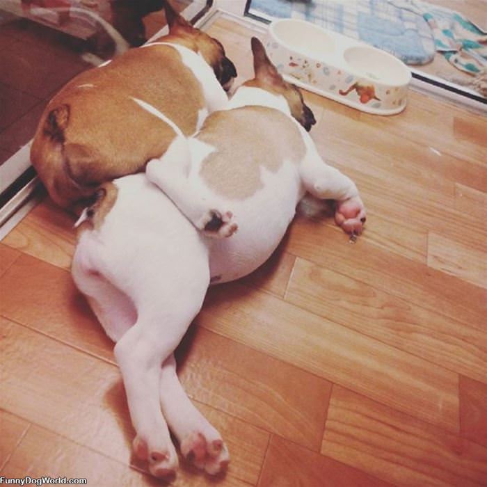 How_We_Chill How We Chill