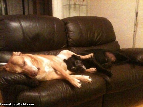 How_We_Like_To_Sleep How We Like To Sleep