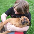 Hugs For You