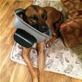 Human I Need Help