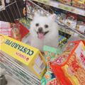 I Am A Snack Now