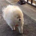 I Am Fabulous