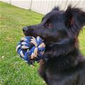 I Am Fetcher