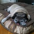 I Am Pooped Out