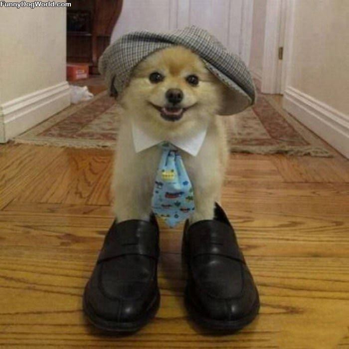 I_Am_Ready_For_Work I Am Ready For Work