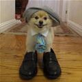 I Am Ready For Work