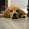 I Am So Relaxed Here