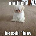 I Barked At The Mailman