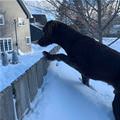 I Can Jump It Now