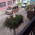 I Can See Everything