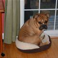I Fits Just Fine