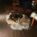 I Fixed My Bed