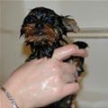 I Got A Bath