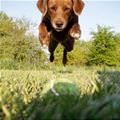 I Got You Ball