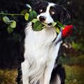 I Gots This For You
