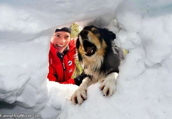 I Has A Snow Fort