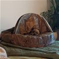 I Have A Fort