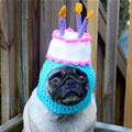 I Have A Hat Now