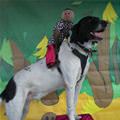 I Have A Rider