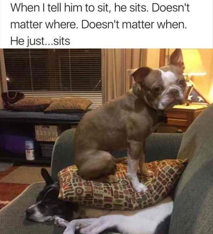 I Just Sit