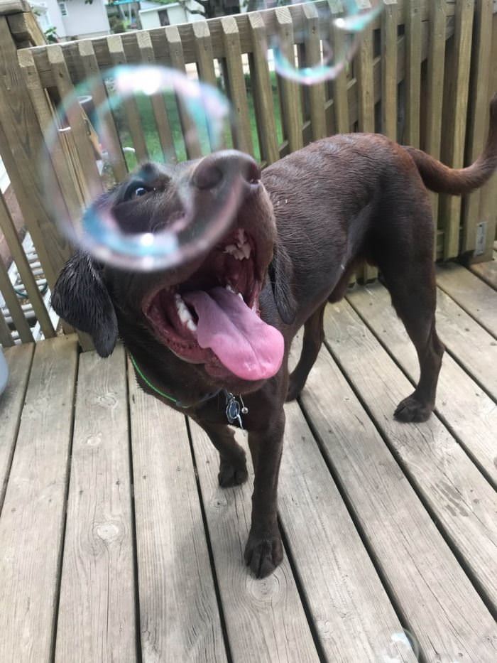 I Like Bubbles