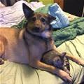 I Like My Buddy