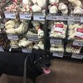 I Like This Section