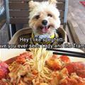 I Like This Spaghetti