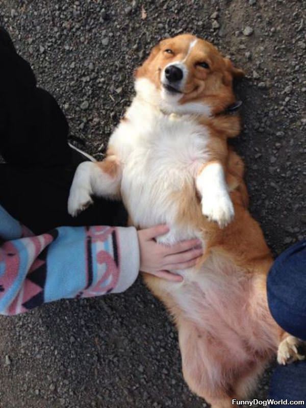 I Love Belly Rubs