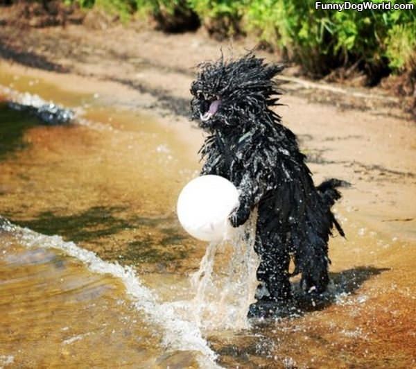 I Love Playing In The Water