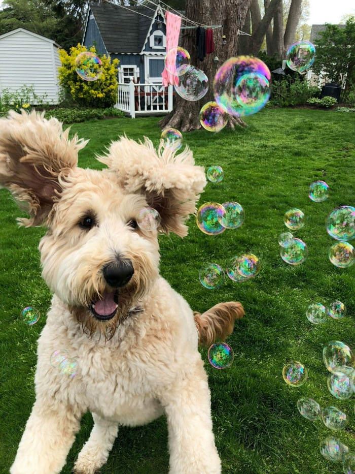 I Love Some Bubbles
