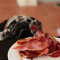 I Loves Me Some Bacon