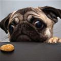 I Loves Snacks