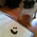 I Made A Smiley