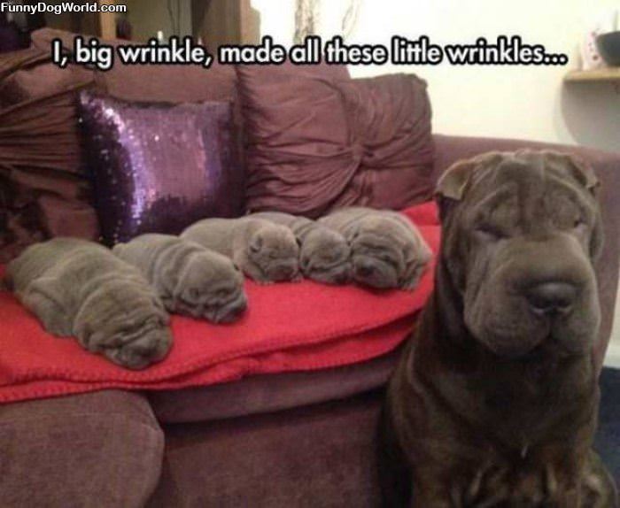 I Made These Wrinkles