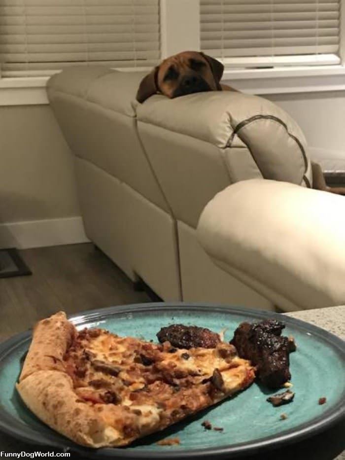 I See What You Are Eating