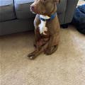 I Sits