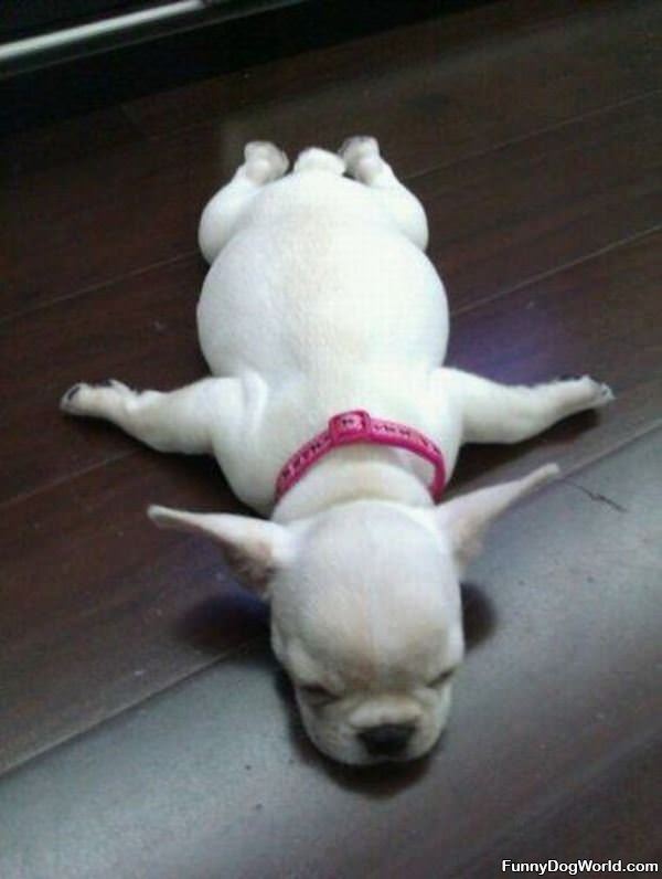 I Sleep Like This