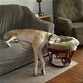 I Sleep Wherever I Want