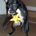 I Want That Toy