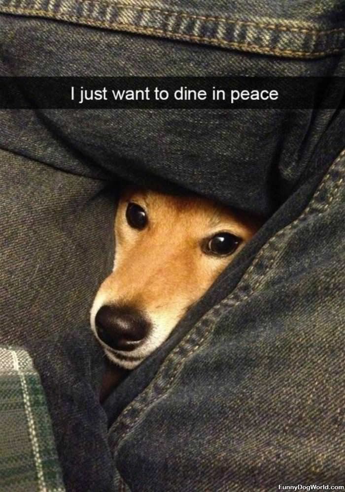 I Want To Dine In Peace