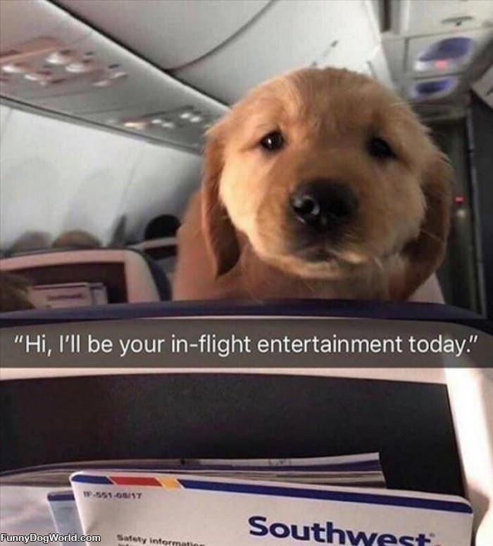 I Will Be Your Entertainment