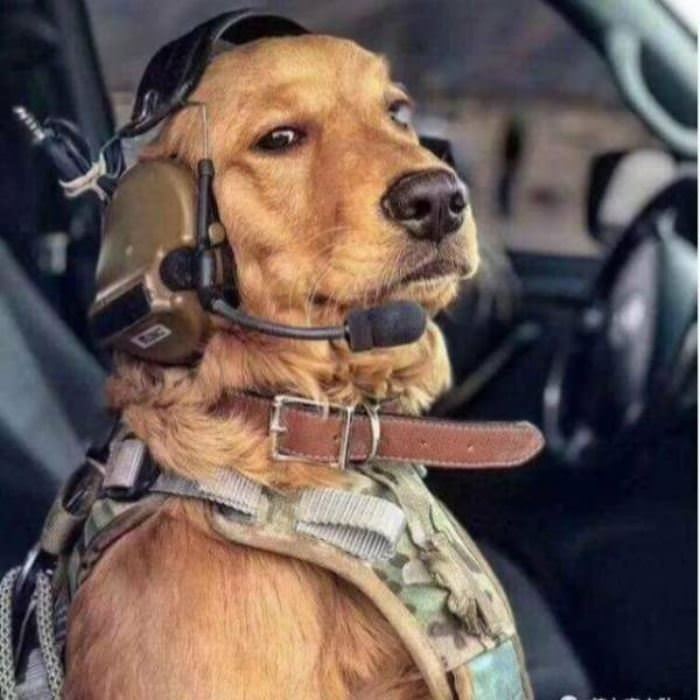 I_Will_Be_Your_Pilot I Will Be Your Pilot