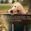 If I Had A Dollar