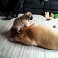 Ill Sit Where I Want