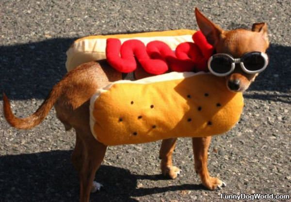 Im A Hot Dog