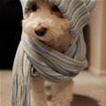 Im All Warm