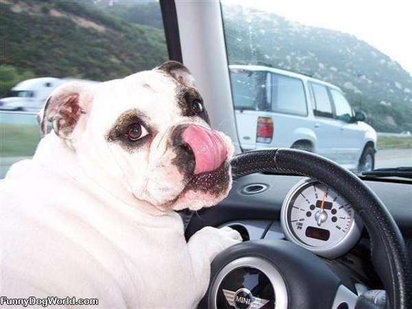 Im Driving