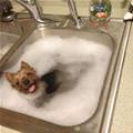Im Getting A Bath